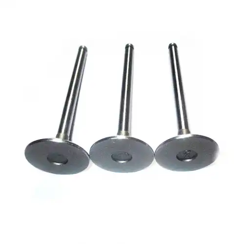 1 Set of Intake and Exhaust Valves