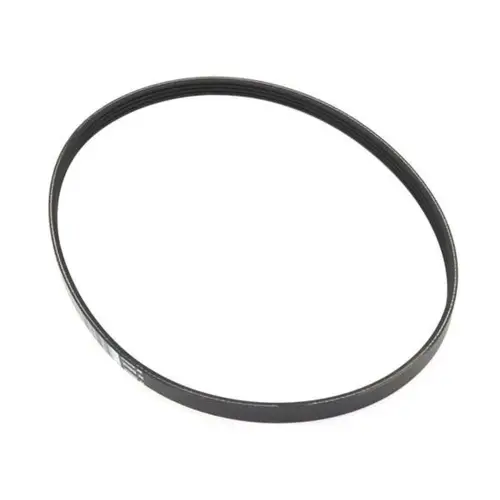 A/C Compressor Belt 7503864
