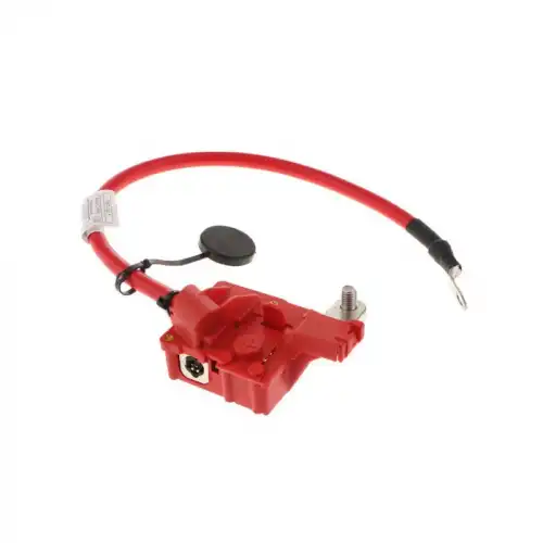 Cable Lead SRS 61129217031