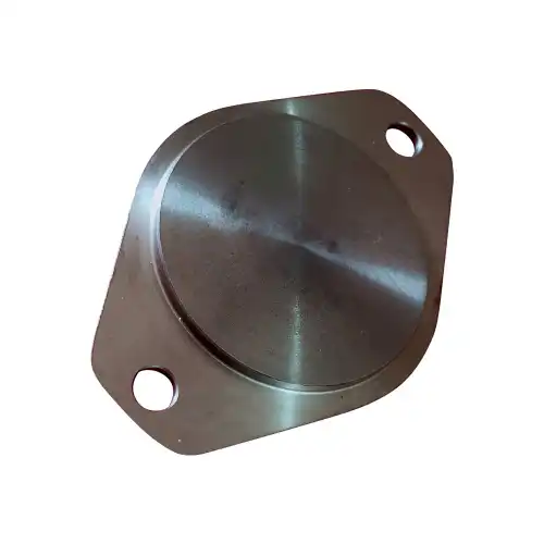 Cover Plate 3914868