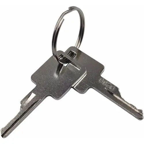 D250 Ignition Keys