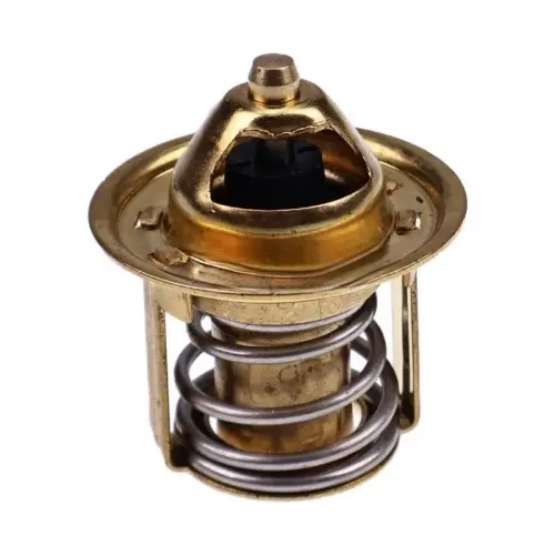 Engine Thermostat 7410802 