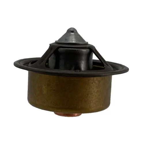 Engine Thermostat DZ120917