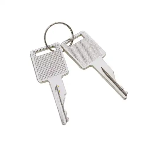 Ignition Keys replaces D250