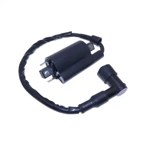 Ignition Coil AM120732