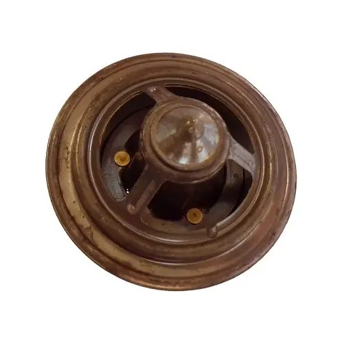 Thermostat R36847