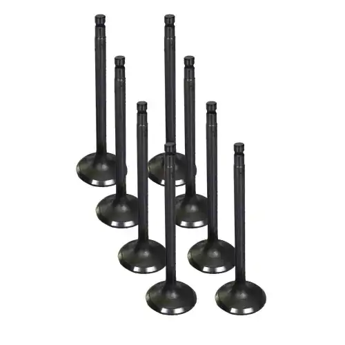 1 Set of Intake and Exhaust Valves