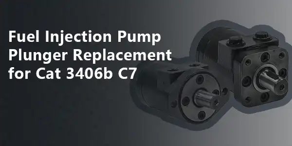 Fuel Injection Pump Plunger Replacement For Cat 3406b C7