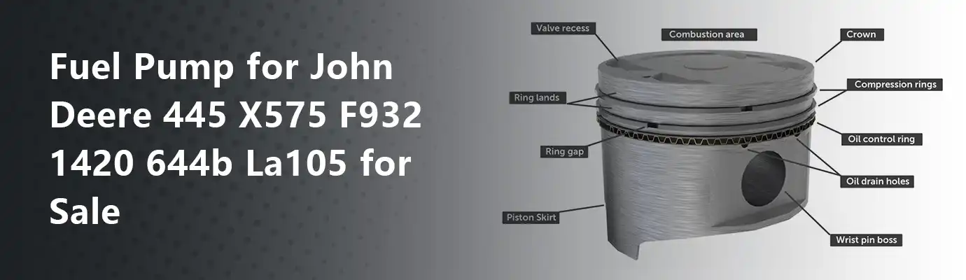 Fuel Pump for John Deere 445 X575 F932 1420 644b La105 for Sale