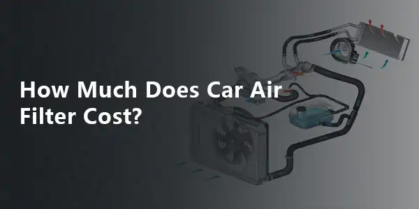 Engine outlet filter cost
